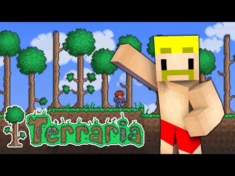 【テラリア/Terraria】あたらしい冒険の始まりだー！！！！！1日目